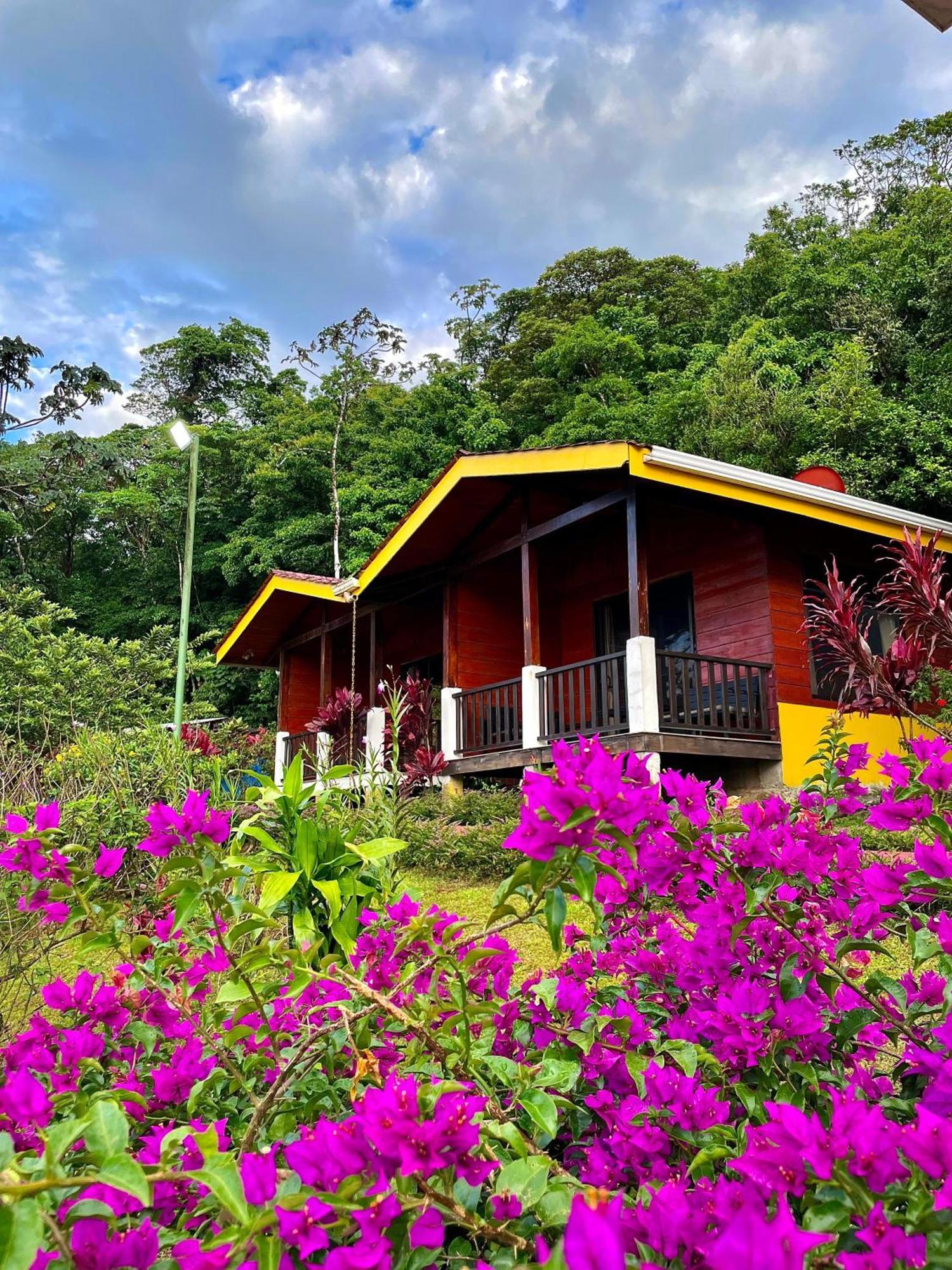 Heliconias Rainforest Lodge Bijagua de Upala Exterior foto
